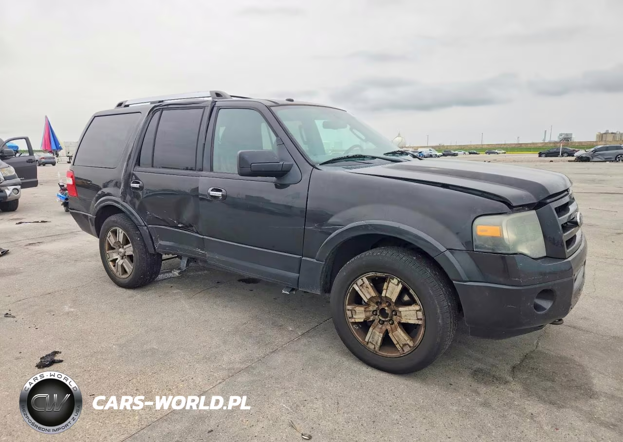2010 Ford Expedition Limited VIN:1FMJU2A58AEA48084 - 4