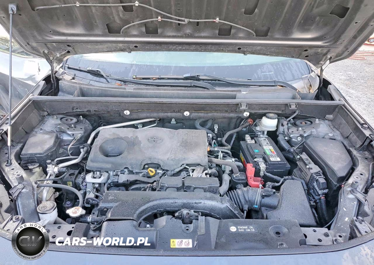 2019 Toyota Rav4 Xle Premium VIN:JTMC1RFV9KD031034 - 12