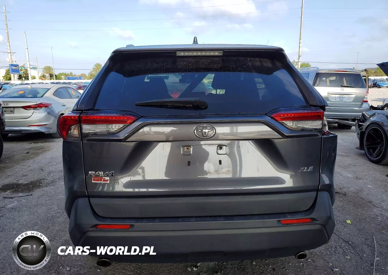 2019 Toyota Rav4 Xle Premium VIN:JTMC1RFV9KD031034 - 6