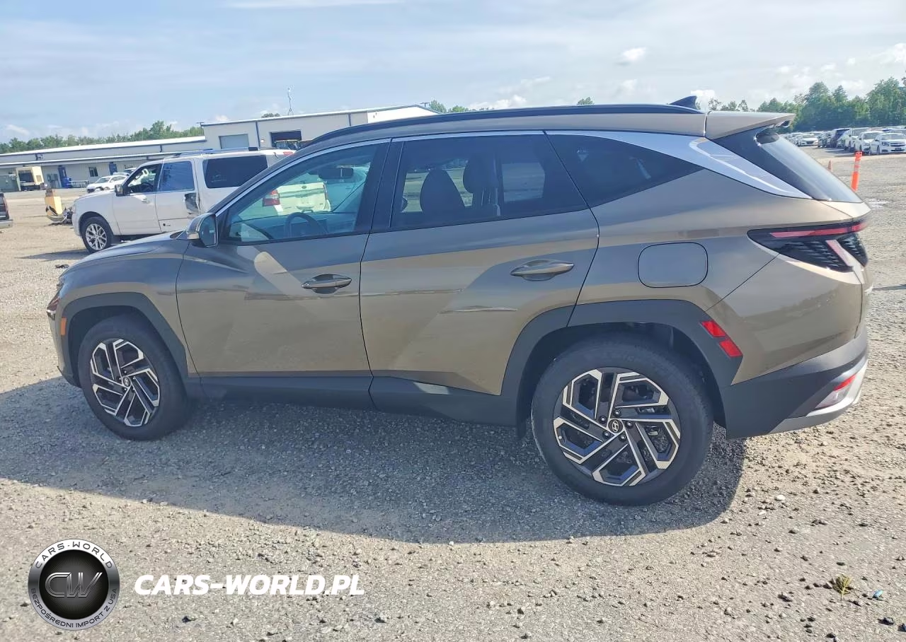 2025 Hyundai Tucson Limited VIN:KM8JEDD16SU385877 - 2