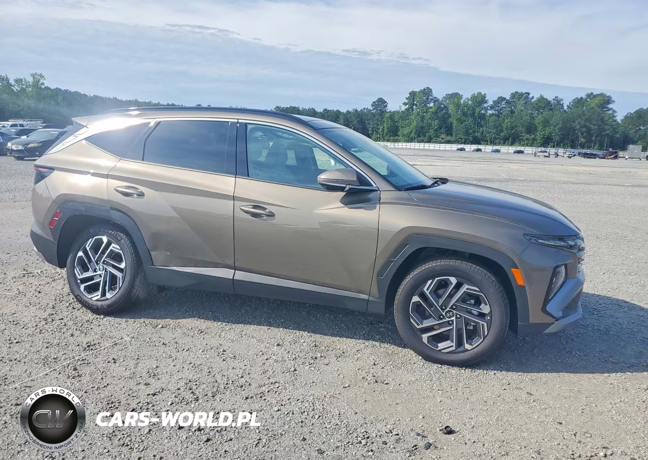 2025 Hyundai Tucson Limited VIN:KM8JEDD16SU385877 - 4