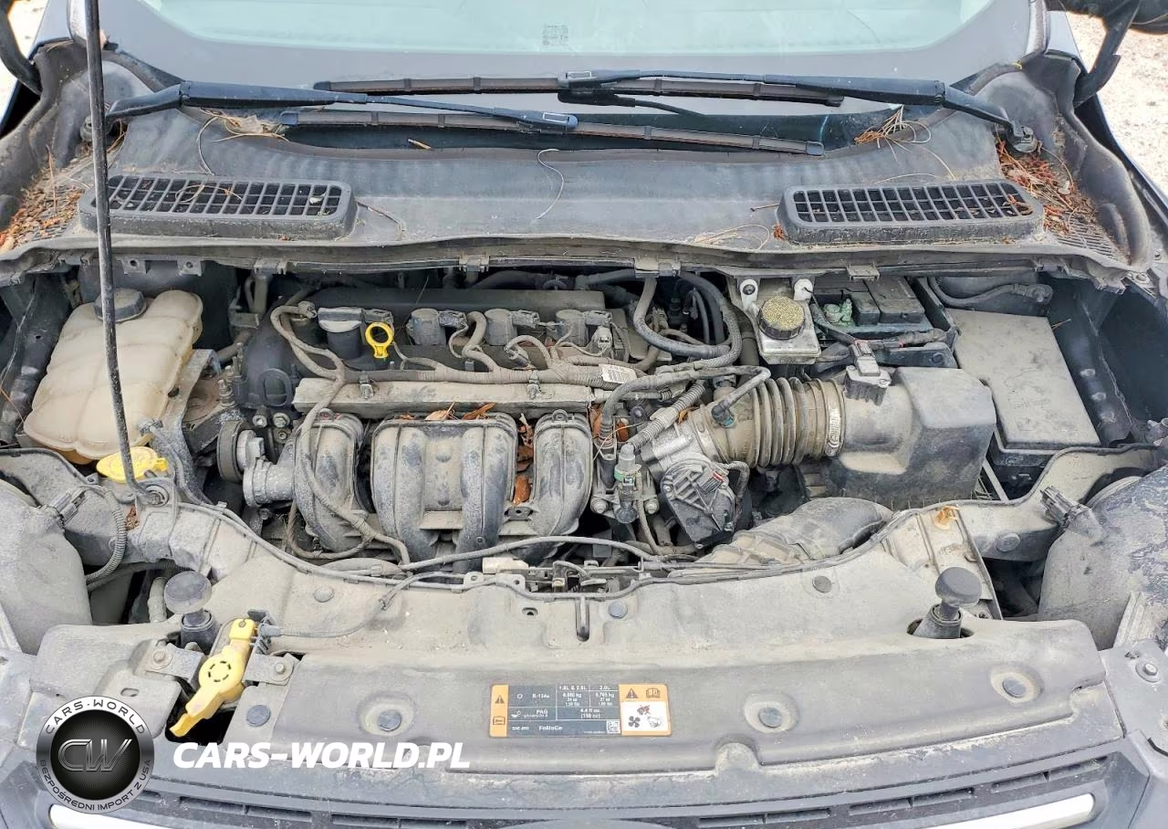 2015 Ford Escape Se VIN:1FMCU0G75FUA41760 - 12