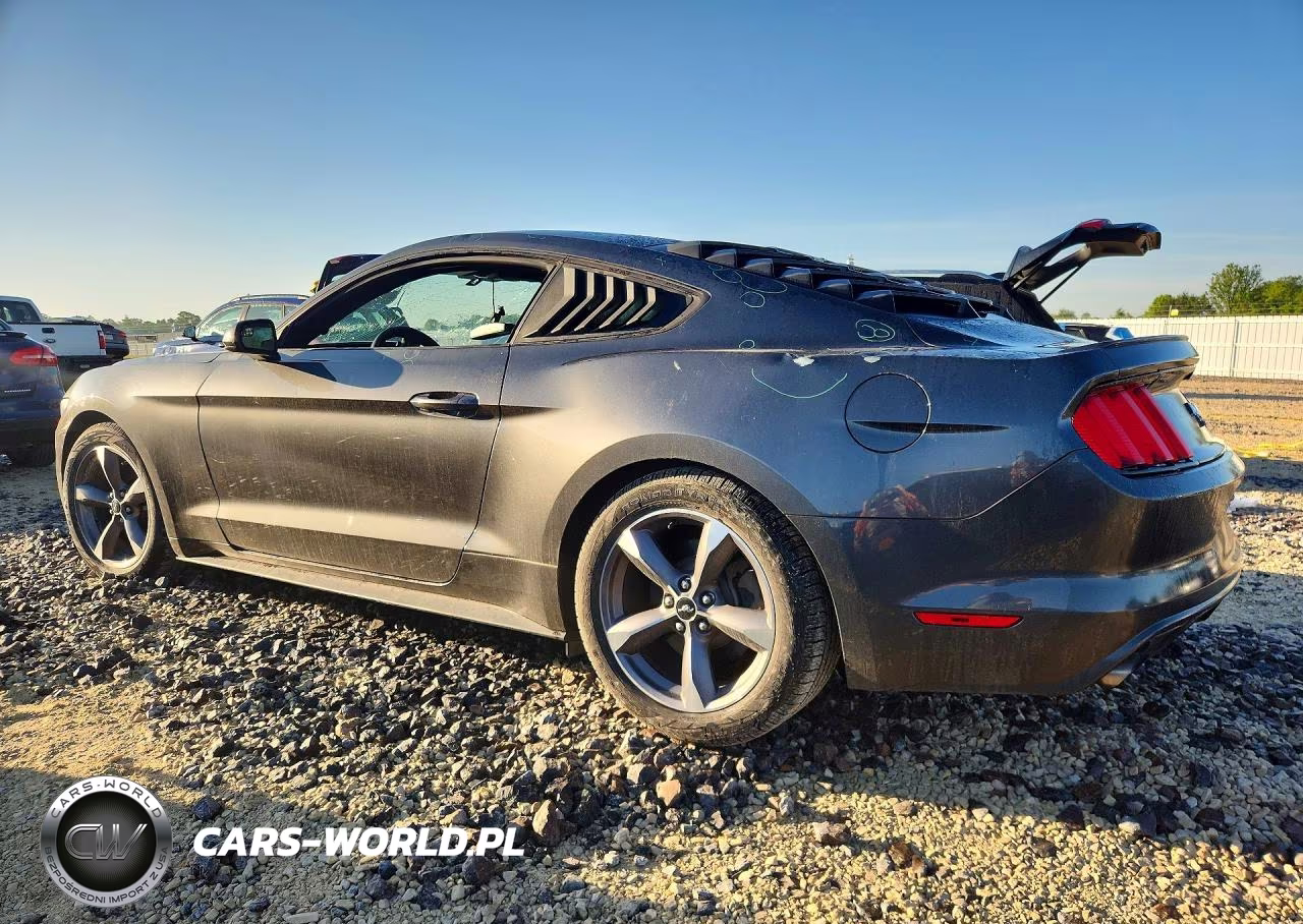 2017 Ford Mustang VIN:1FA6P8TH8H5344458 - 2