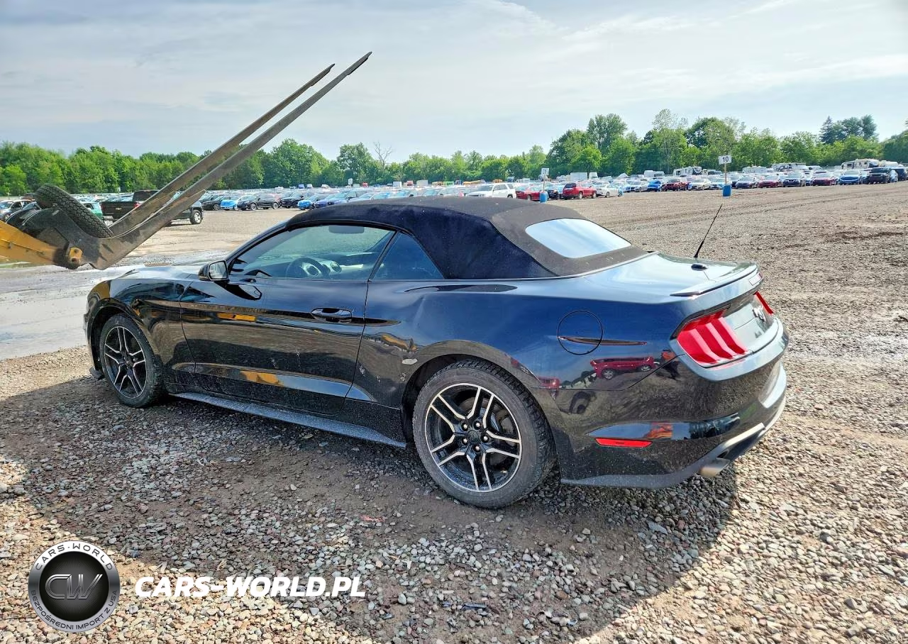 2020 Ford Mustang VIN:1FATP8UH3L5179882 - 2