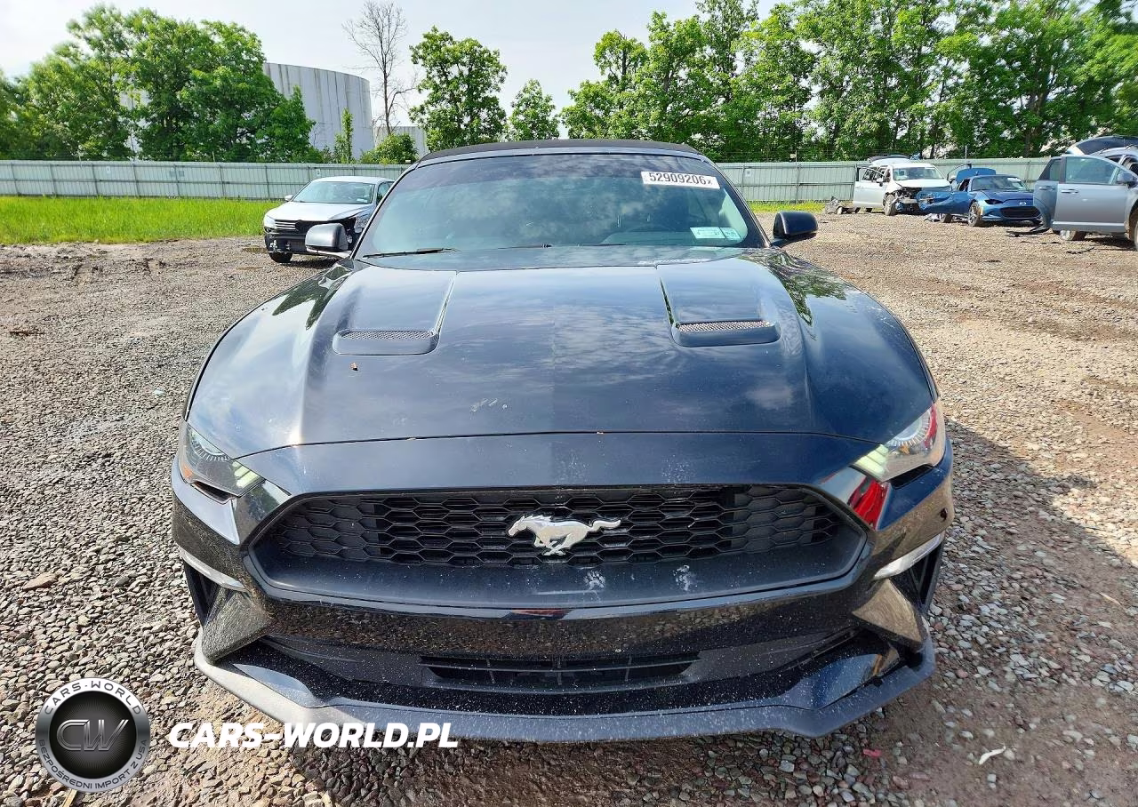 2020 Ford Mustang VIN:1FATP8UH3L5179882 - 5