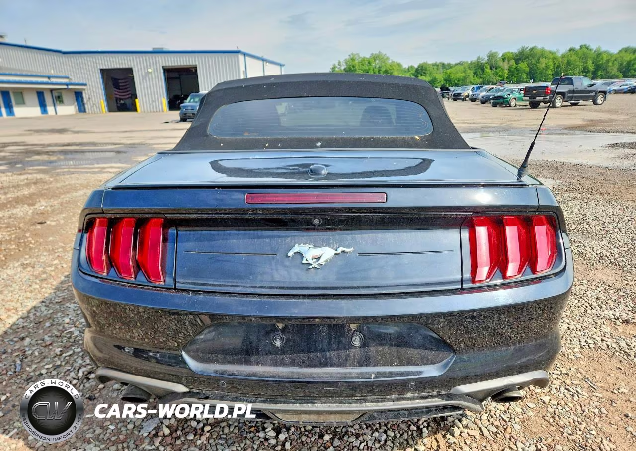 2020 Ford Mustang VIN:1FATP8UH3L5179882 - 6