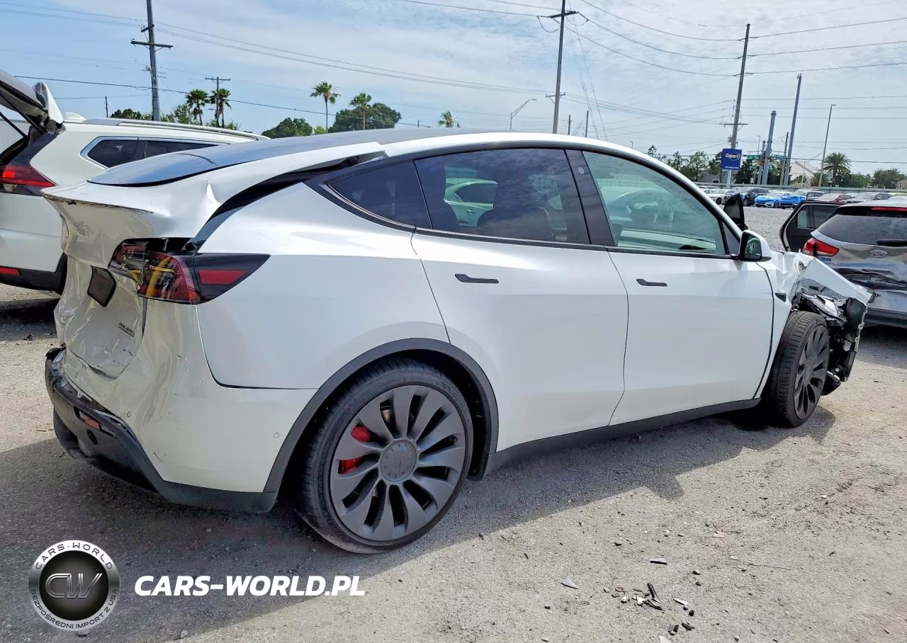 2022 Tesla Model Y VIN:7SAYGDEFXNF312387 - 3
