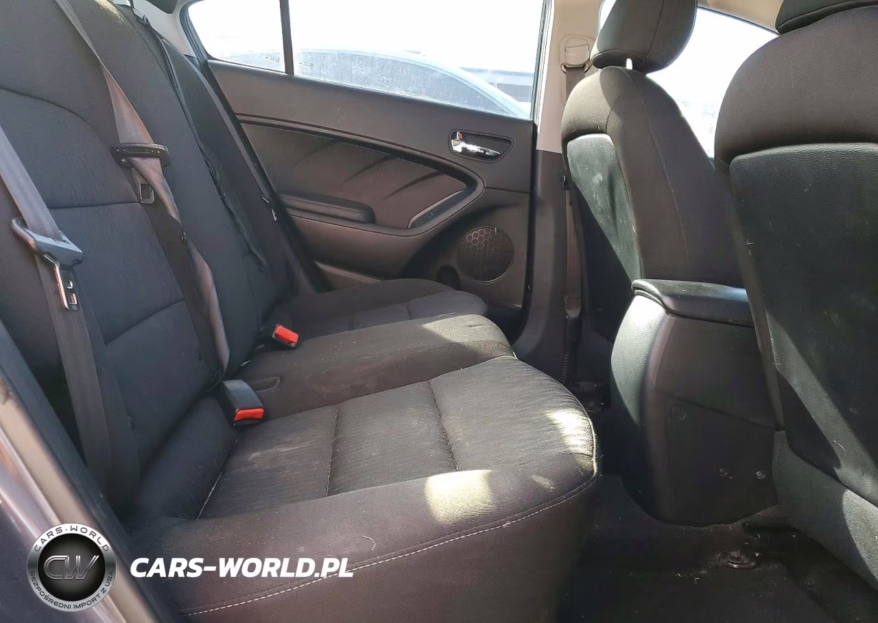 2016 Kia Forte Lx VIN:KNAFK4A6XG5551920 - 10