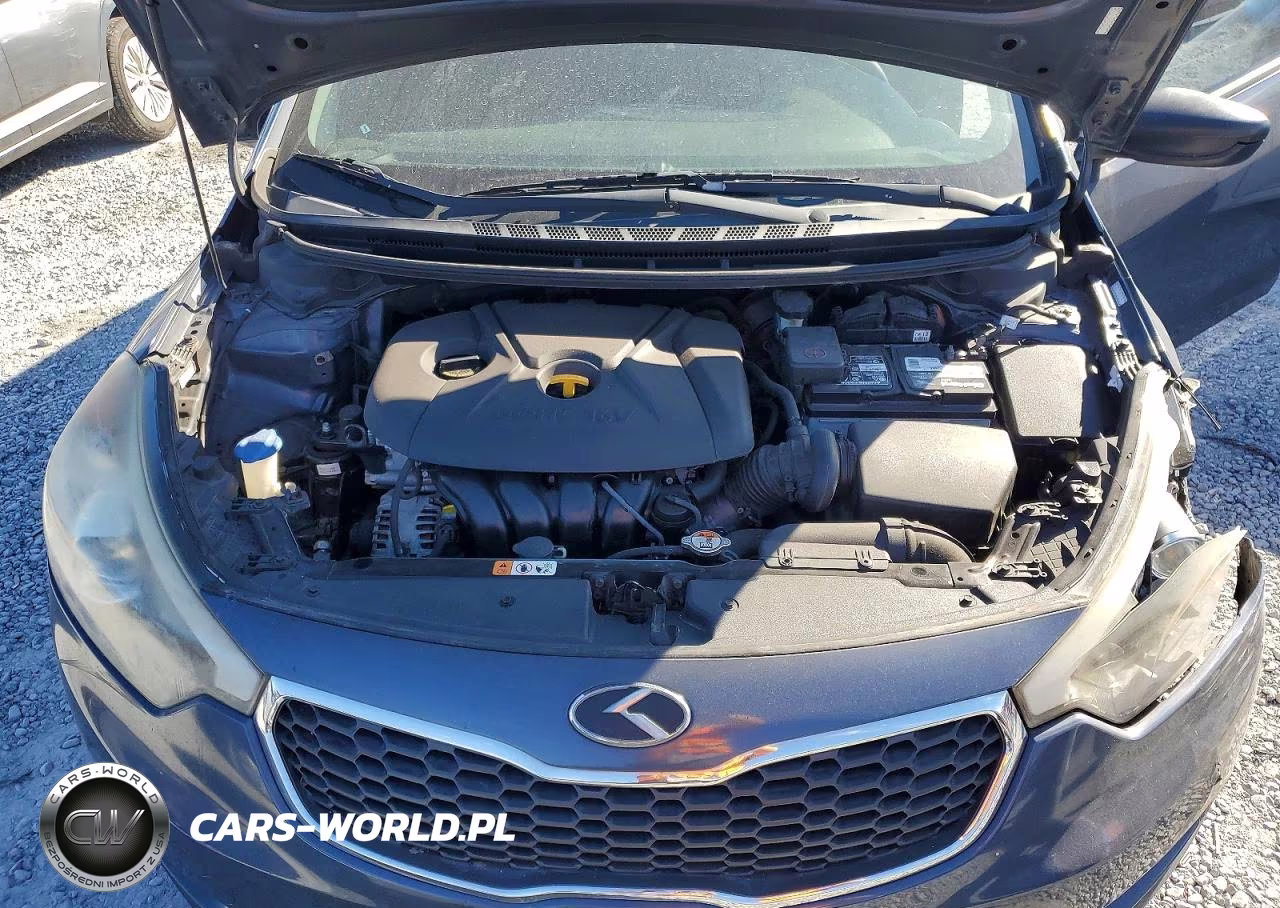 2016 Kia Forte Lx VIN:KNAFK4A6XG5551920 - 11