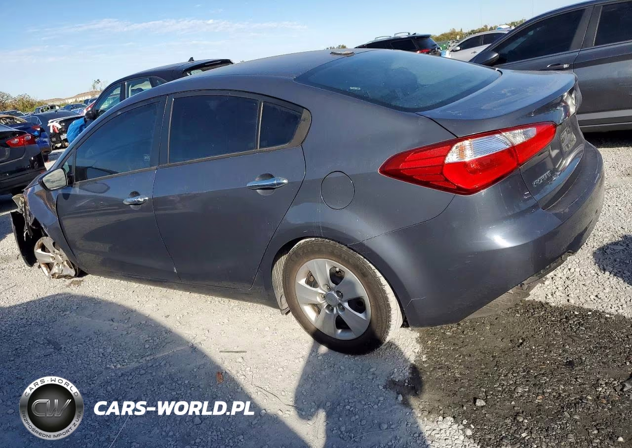 2016 Kia Forte Lx VIN:KNAFK4A6XG5551920 - 2