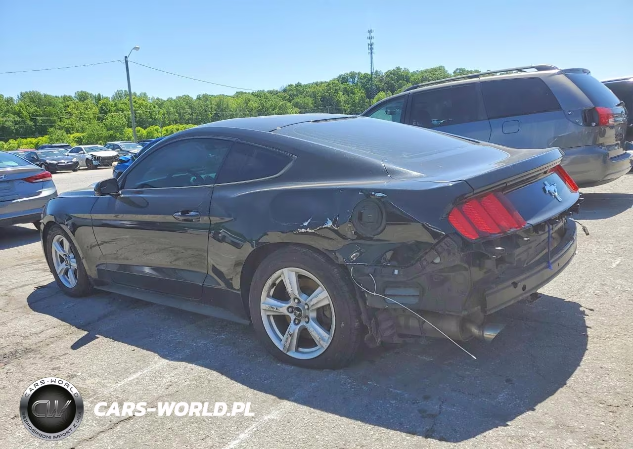 2017 Ford Mustang VIN:1FA6P8AM0H5226677 - 2
