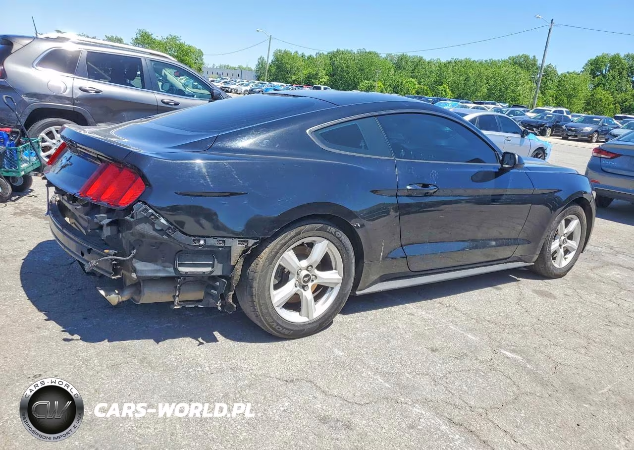 2017 Ford Mustang VIN:1FA6P8AM0H5226677 - 3