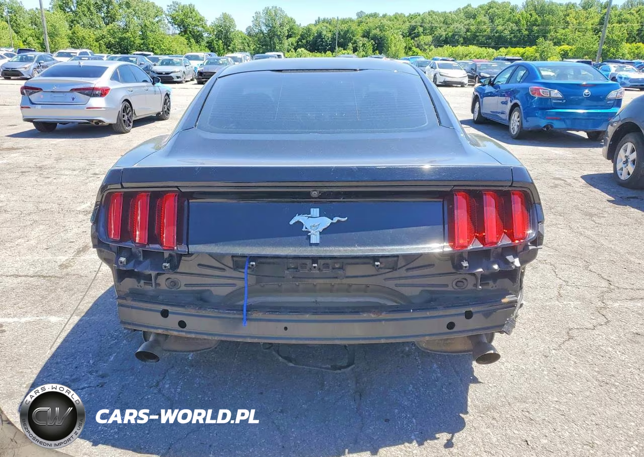2017 Ford Mustang VIN:1FA6P8AM0H5226677 - 6