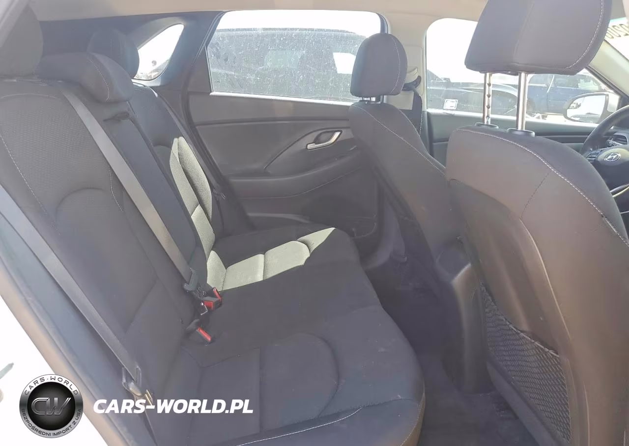 2019 Hyundai Elantra Gt Base VIN:KMHH35LE0KU094970 - 10