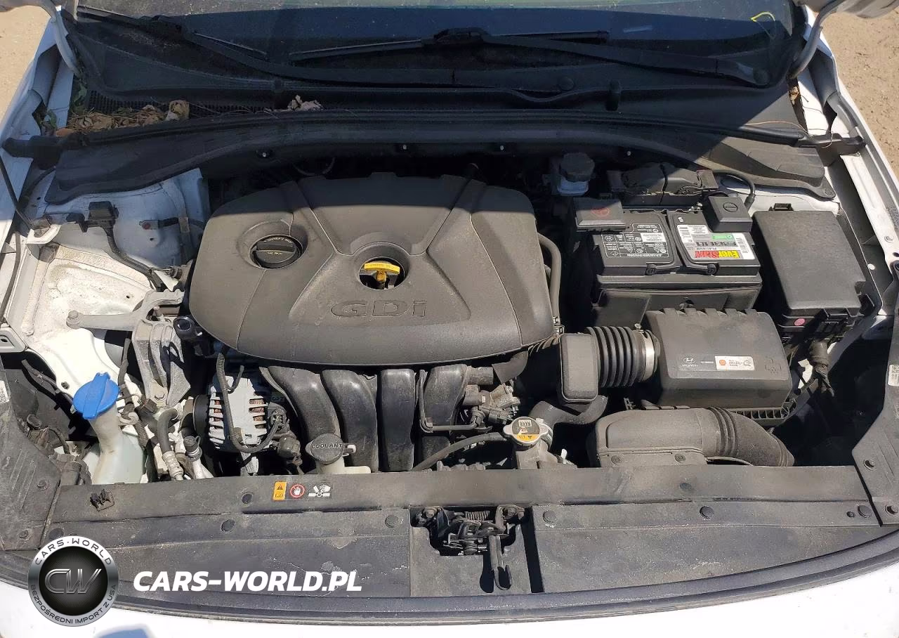 2019 Hyundai Elantra Gt Base VIN:KMHH35LE0KU094970 - 11