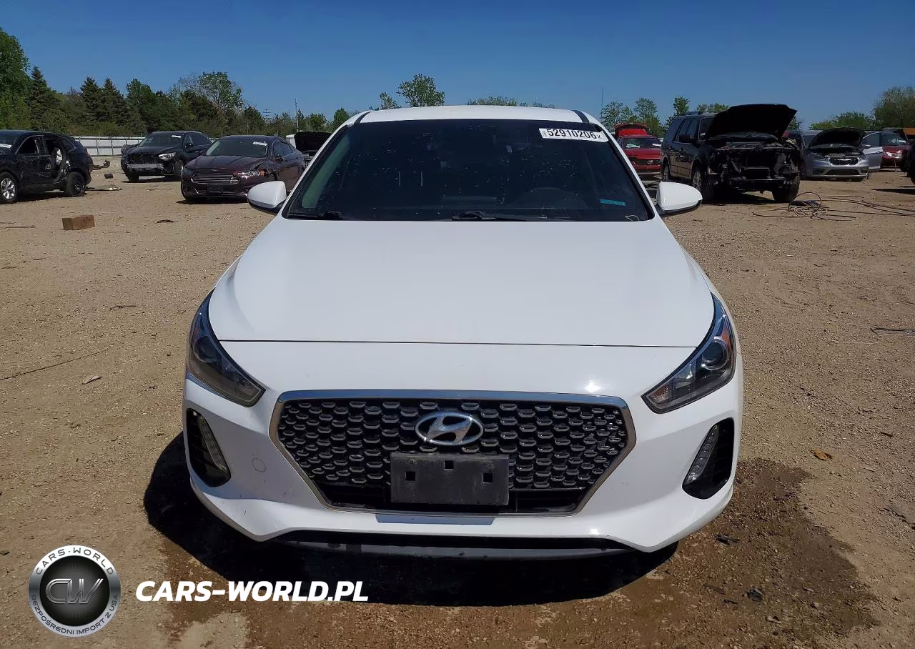 2019 Hyundai Elantra Gt Base VIN:KMHH35LE0KU094970 - 5