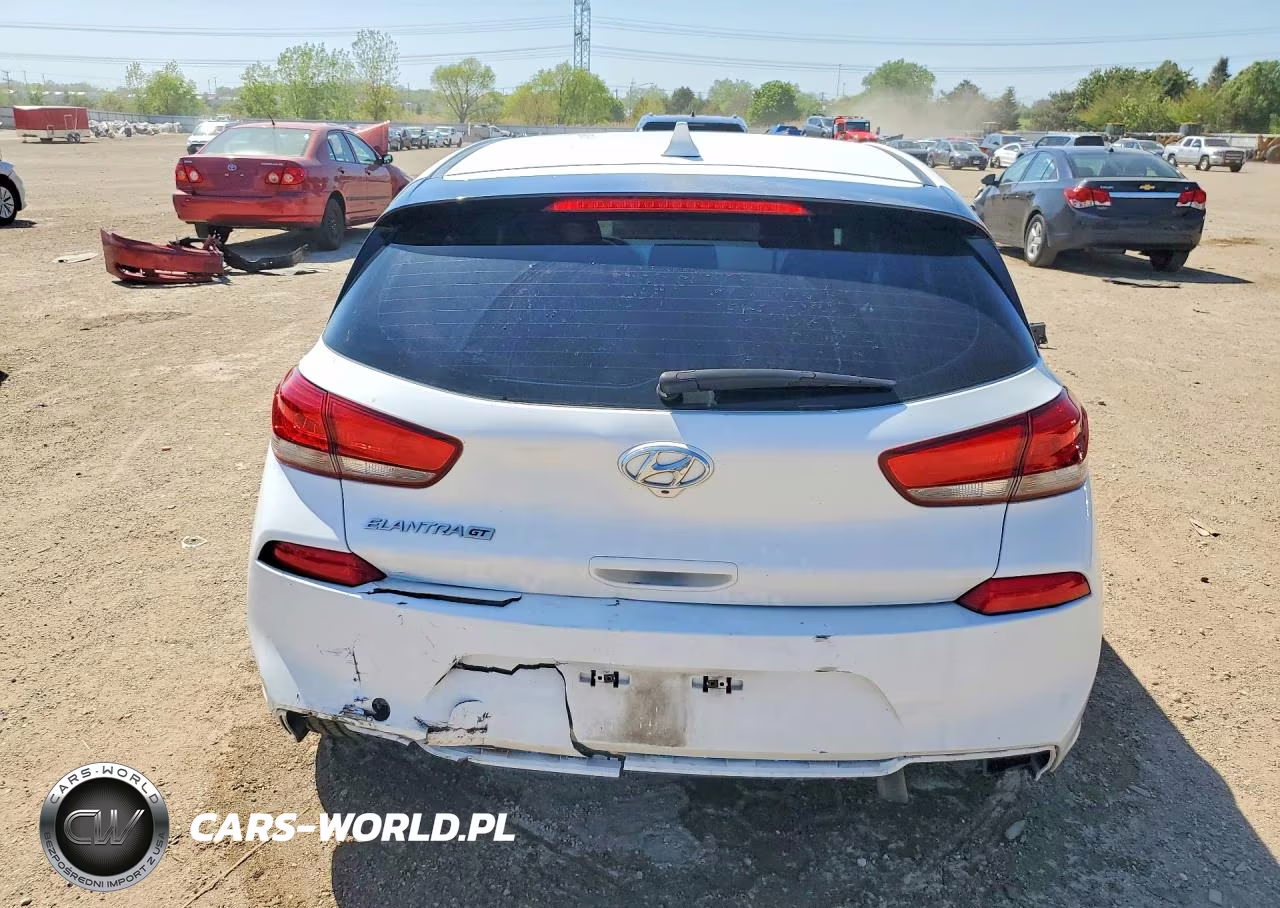 2019 Hyundai Elantra Gt Base VIN:KMHH35LE0KU094970 - 6