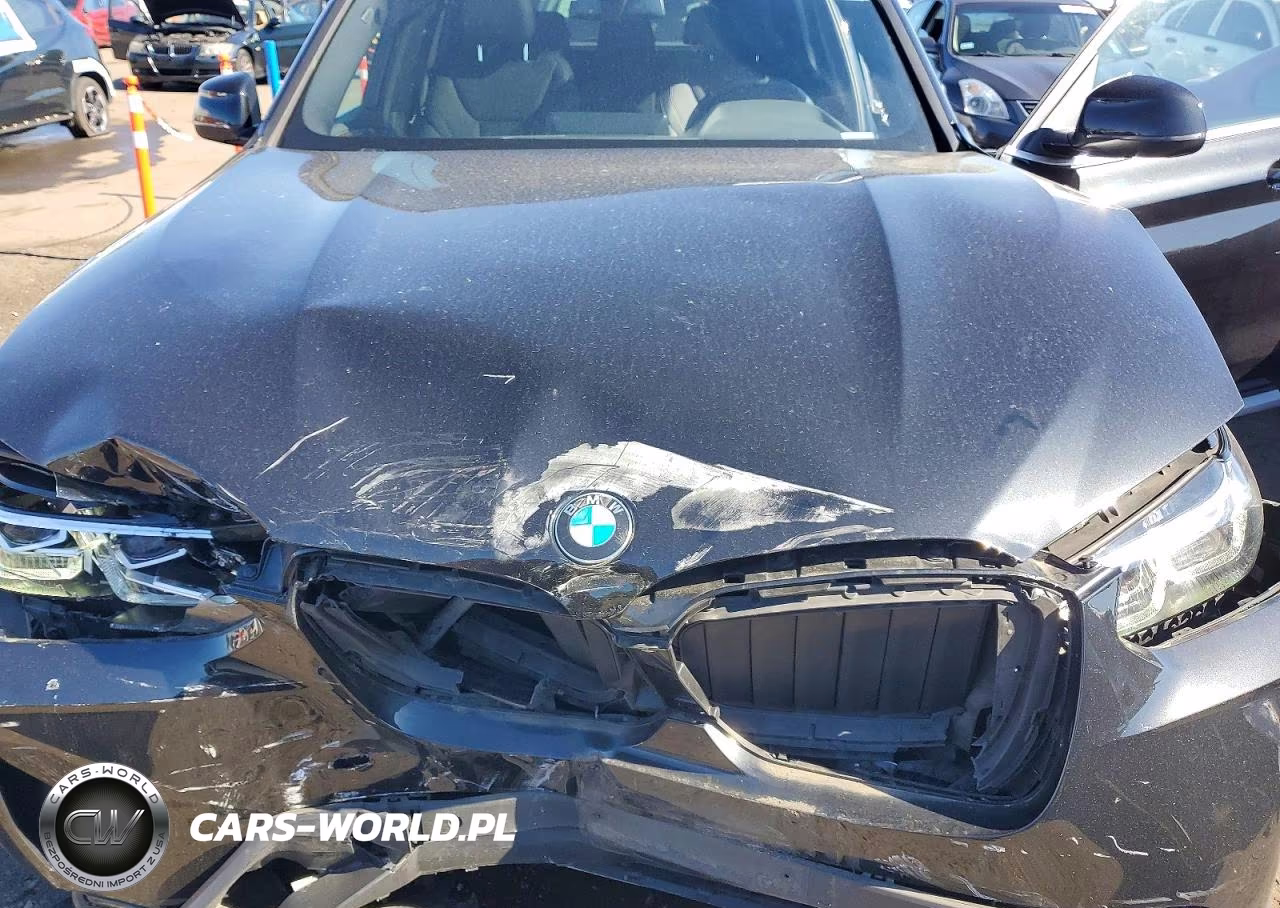 2022 BMW X3 xDrive30I VIN:5UX53DP01N9N36824 - 12