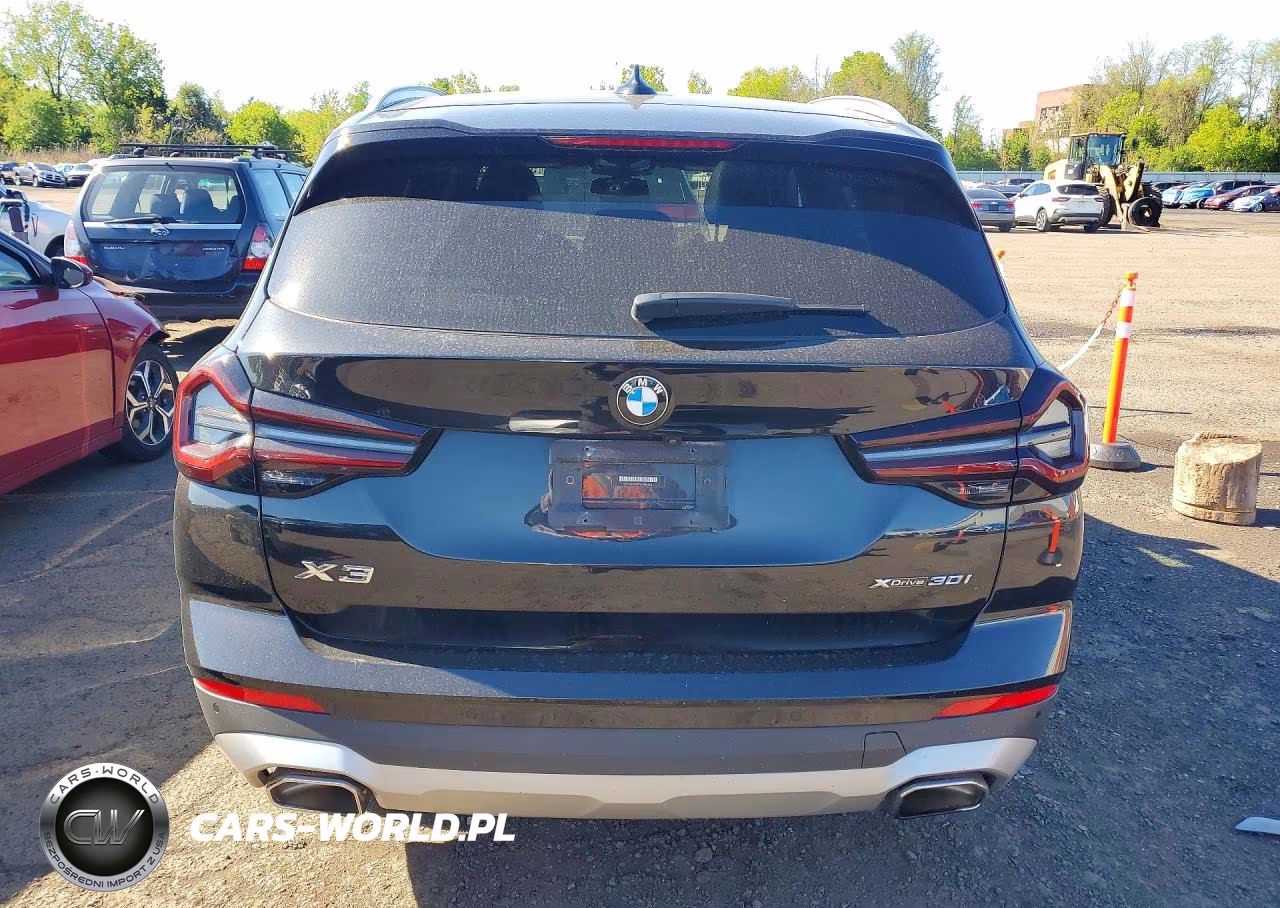 2022 BMW X3 xDrive30I VIN:5UX53DP01N9N36824 - 6