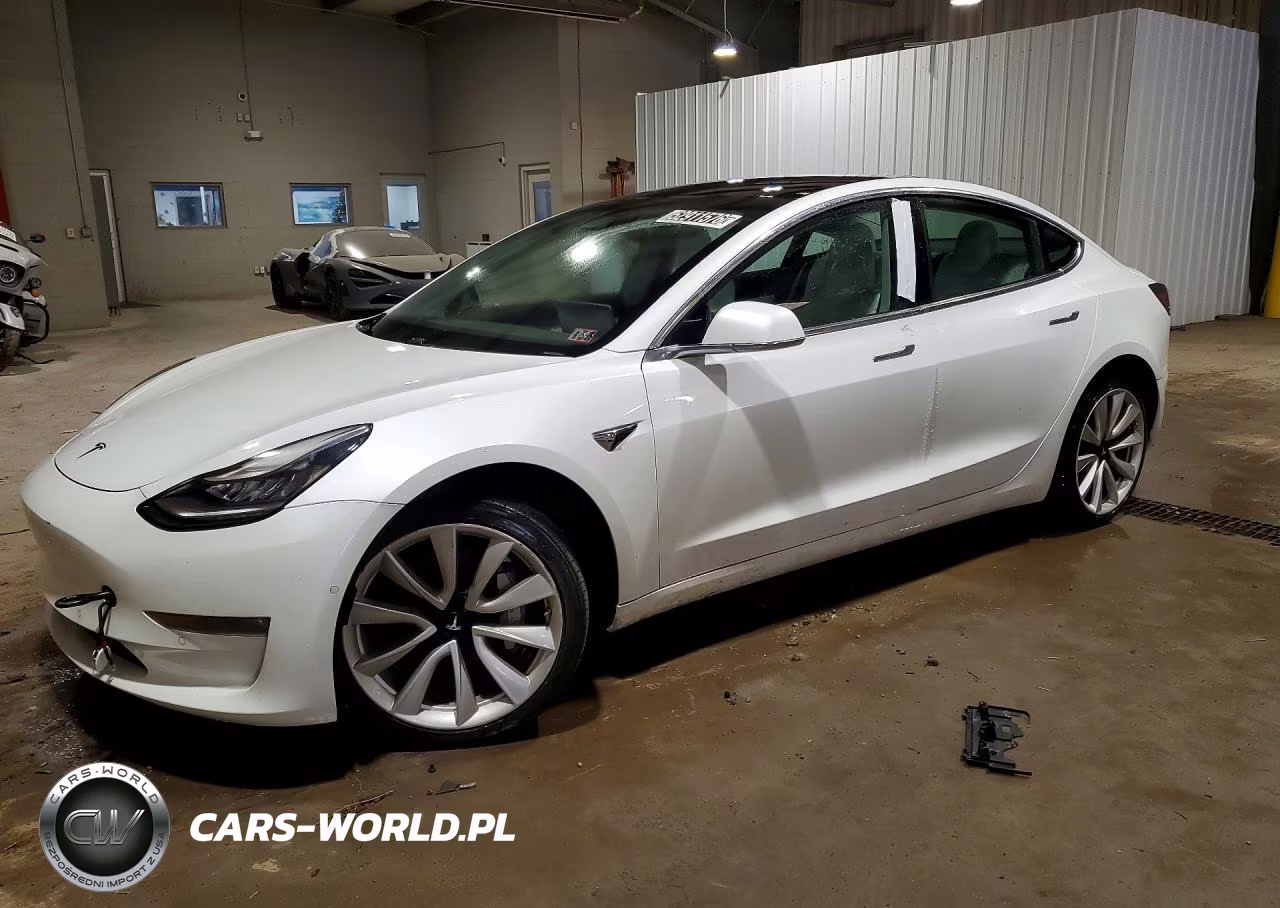 2019 Tesla Model 3