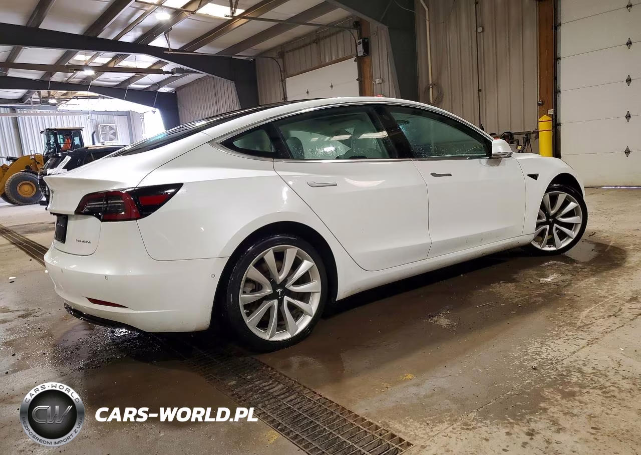 2019 Tesla Model 3 VIN:5YJ3E1EB2KF469576 - 3
