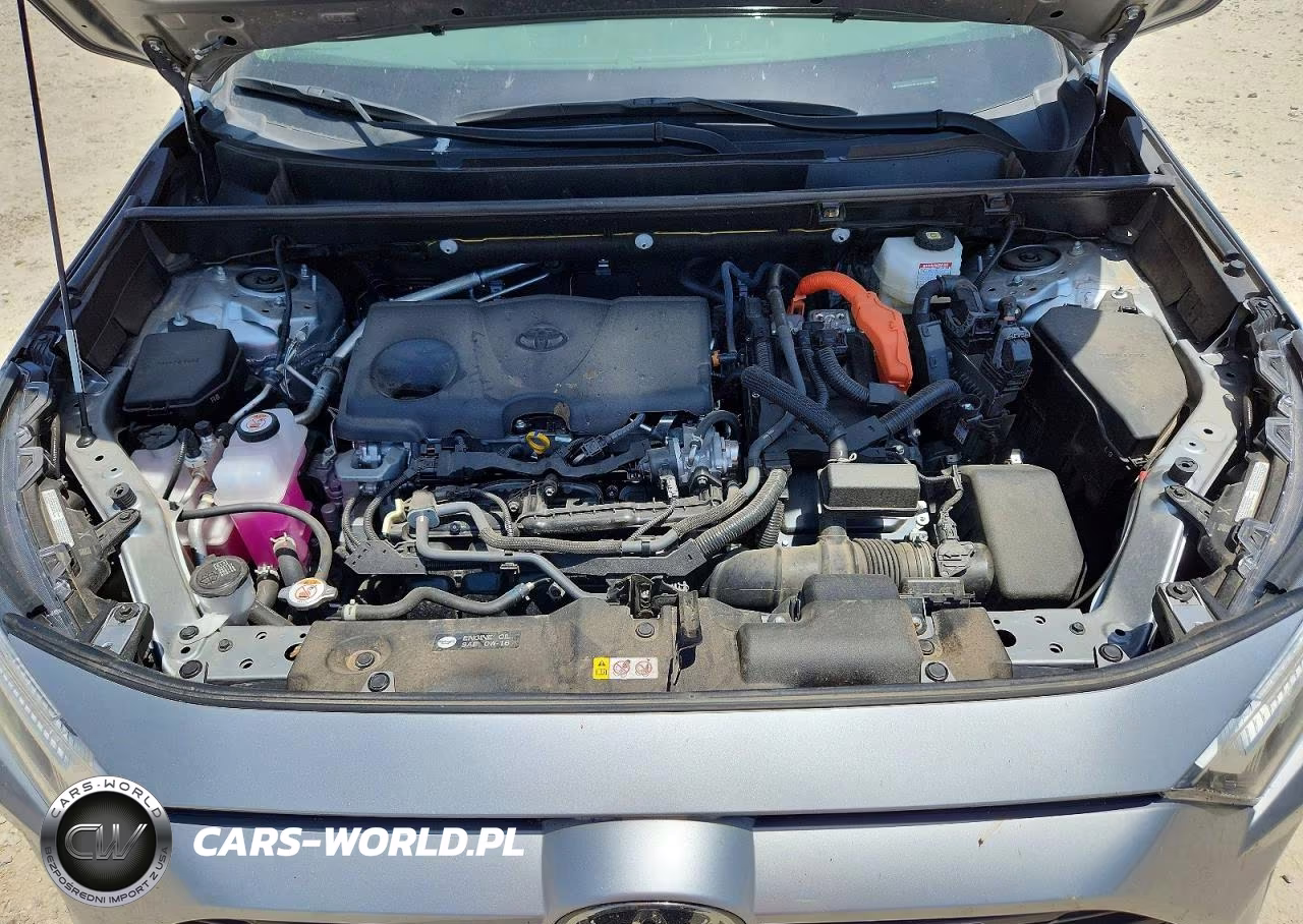 2025 Toyota Rav4 Hybrid Xle VIN:JTMRWRFV7SJ067706 - 12