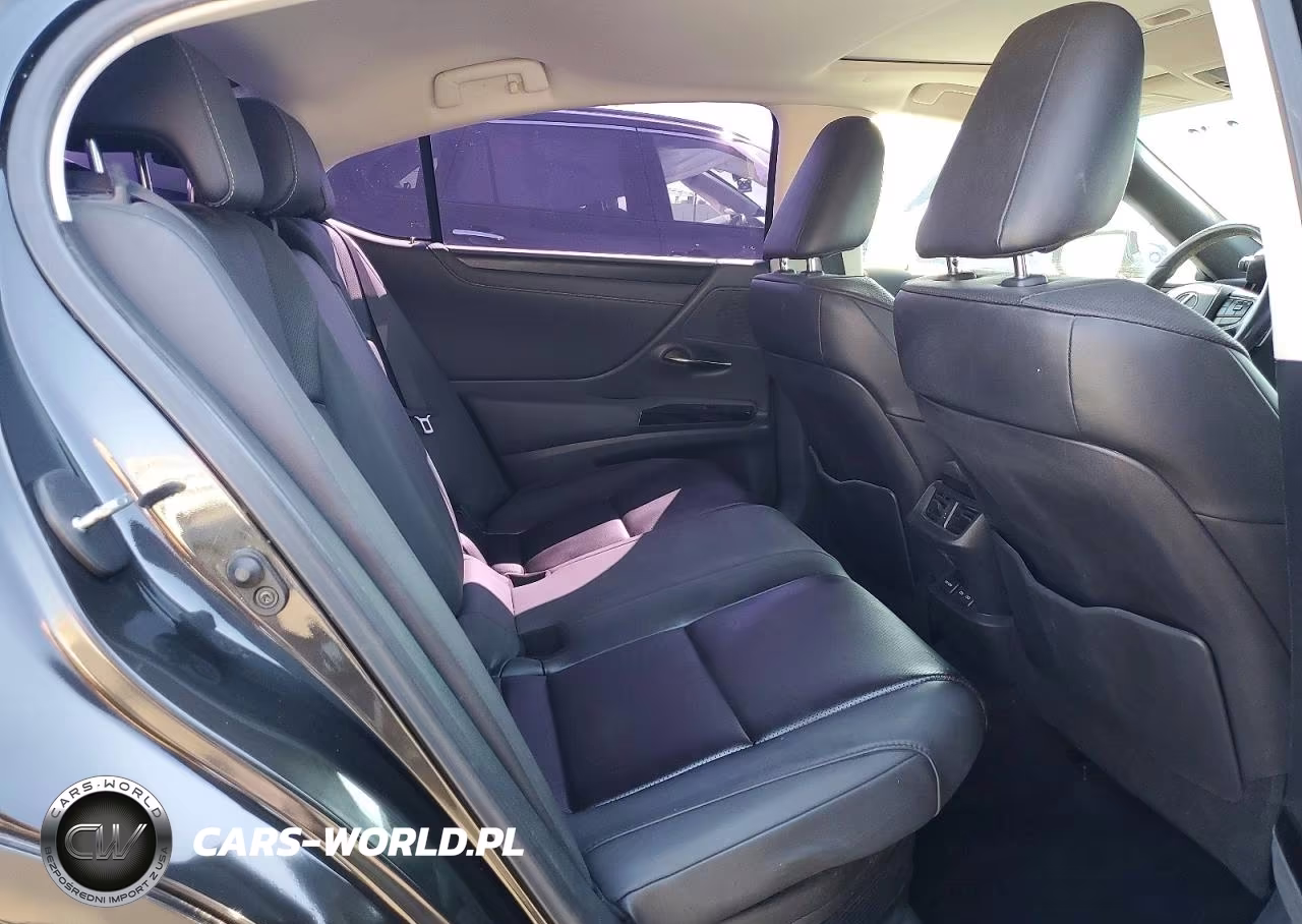 2022 Lexus Es 300H Base VIN:58ADA1C15NU017311 - 10