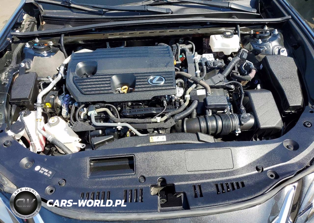 2022 Lexus Es 300H Base VIN:58ADA1C15NU017311 - 11