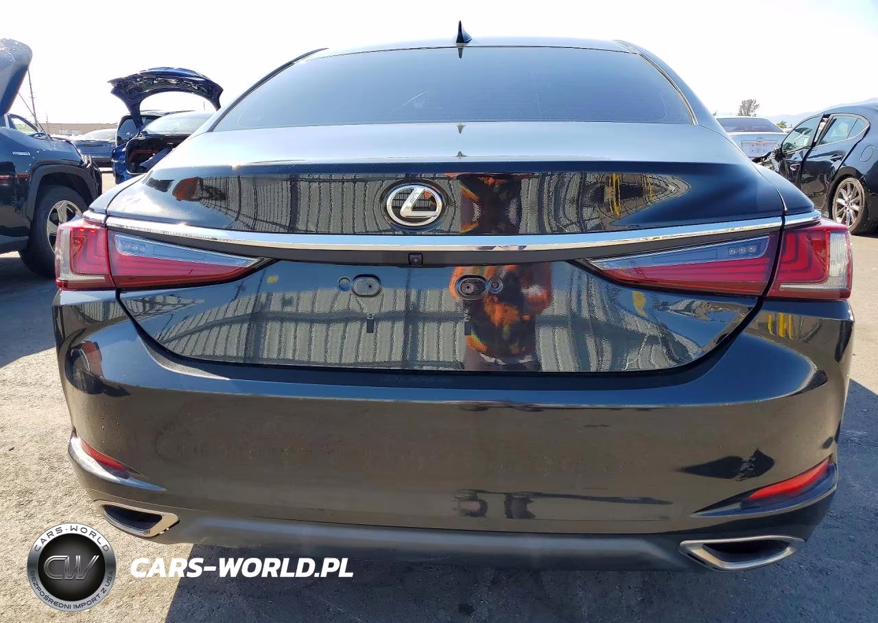2022 Lexus Es 300H Base VIN:58ADA1C15NU017311 - 6