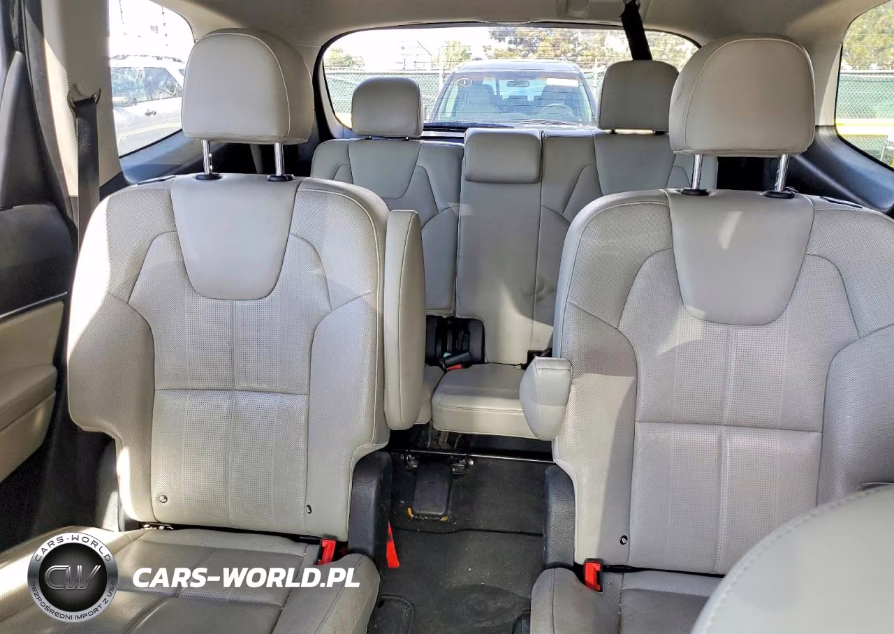 2021 Kia Telluride Ex VIN:5XYP3DHCXMG113420 - 10