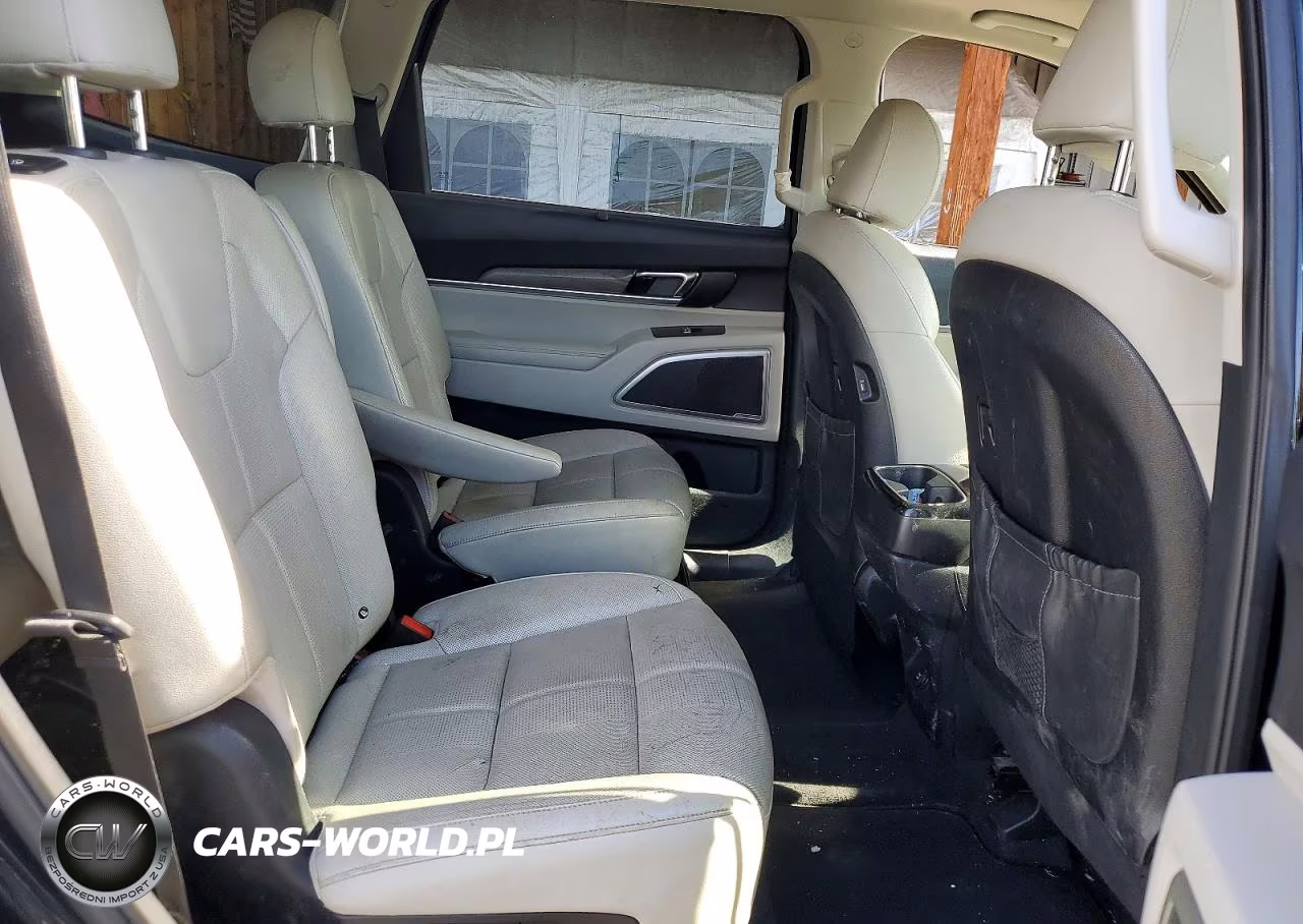 2021 Kia Telluride Ex VIN:5XYP3DHCXMG113420 - 11