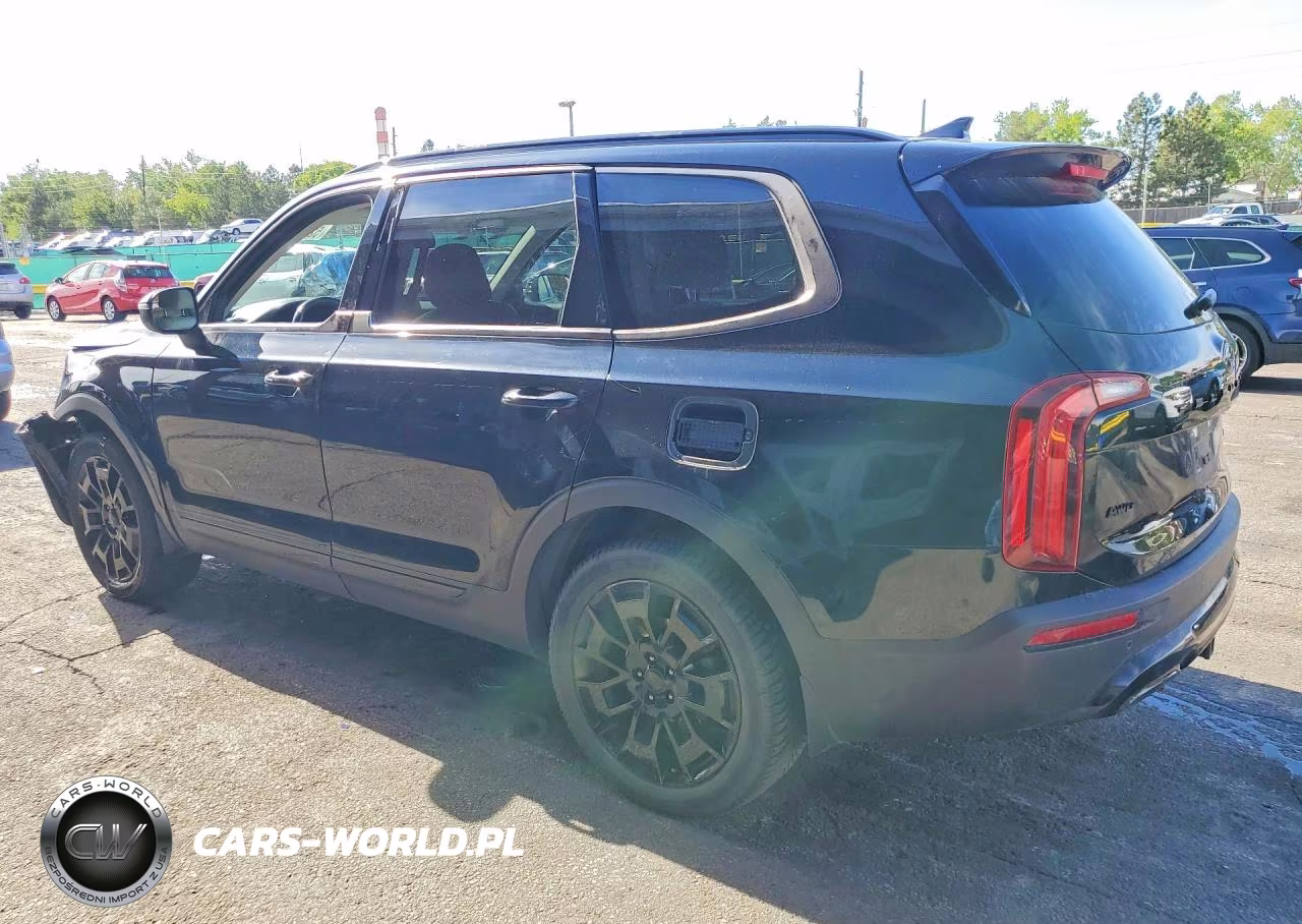 2021 Kia Telluride Ex VIN:5XYP3DHCXMG113420 - 2