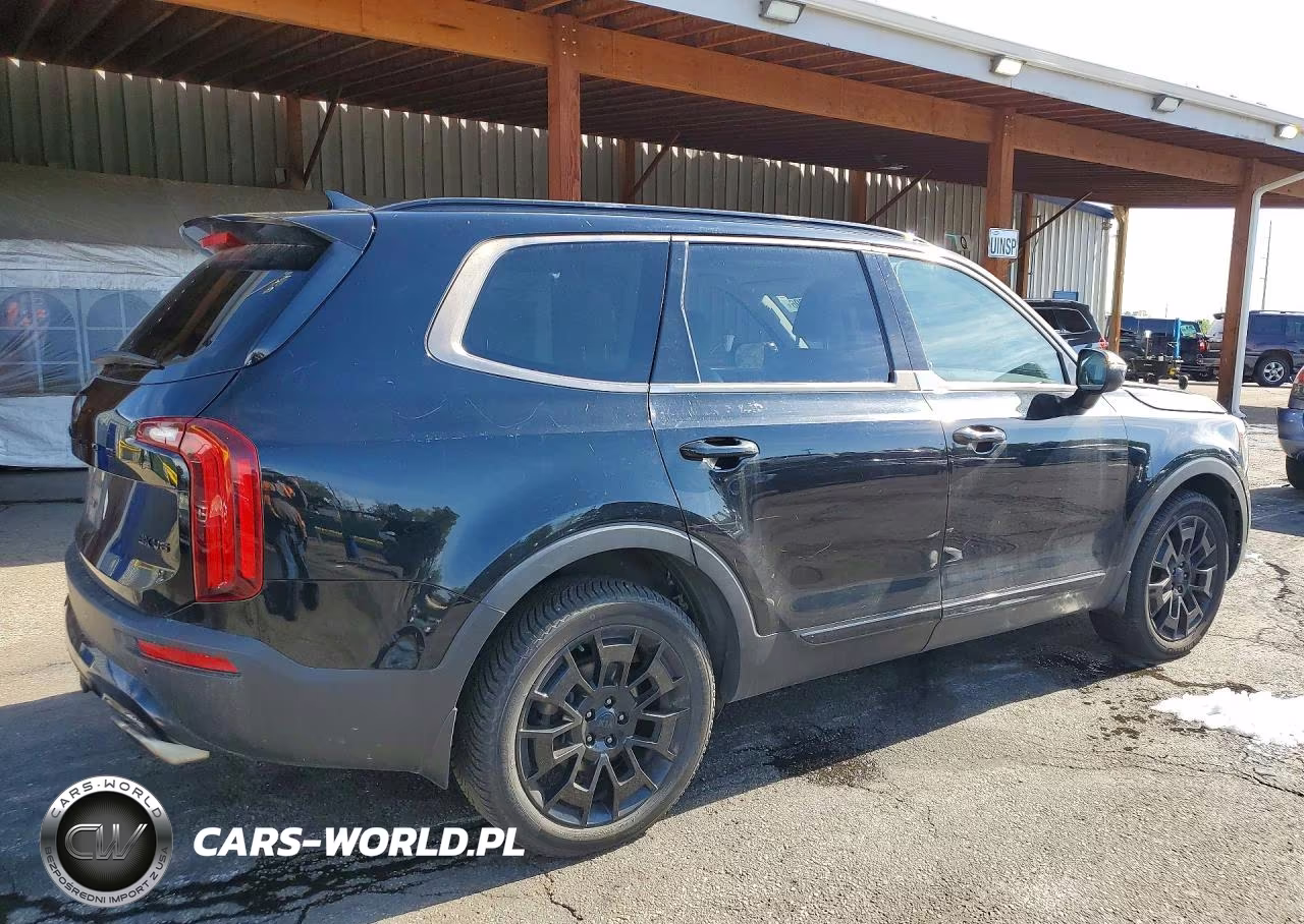 2021 Kia Telluride Ex VIN:5XYP3DHCXMG113420 - 3