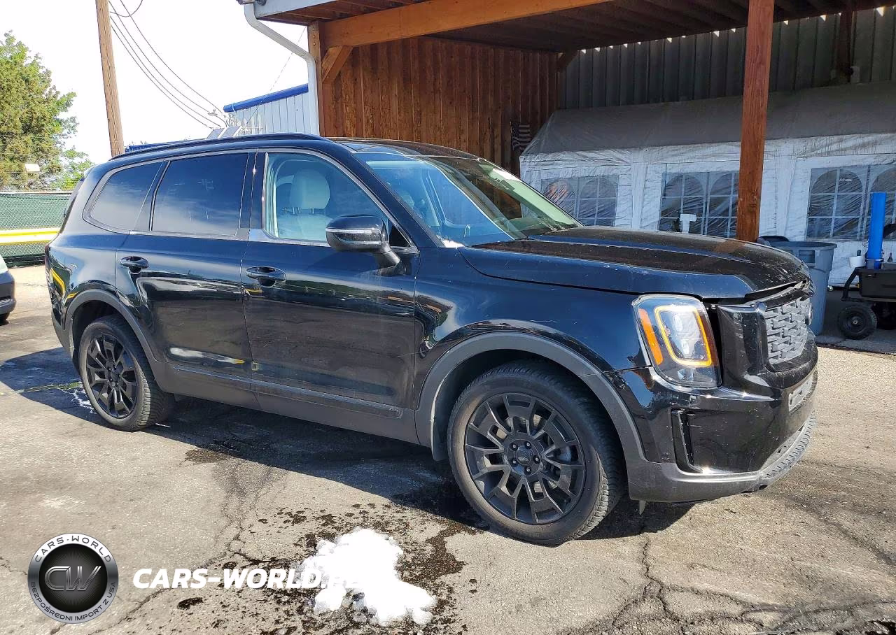 2021 Kia Telluride Ex VIN:5XYP3DHCXMG113420 - 4