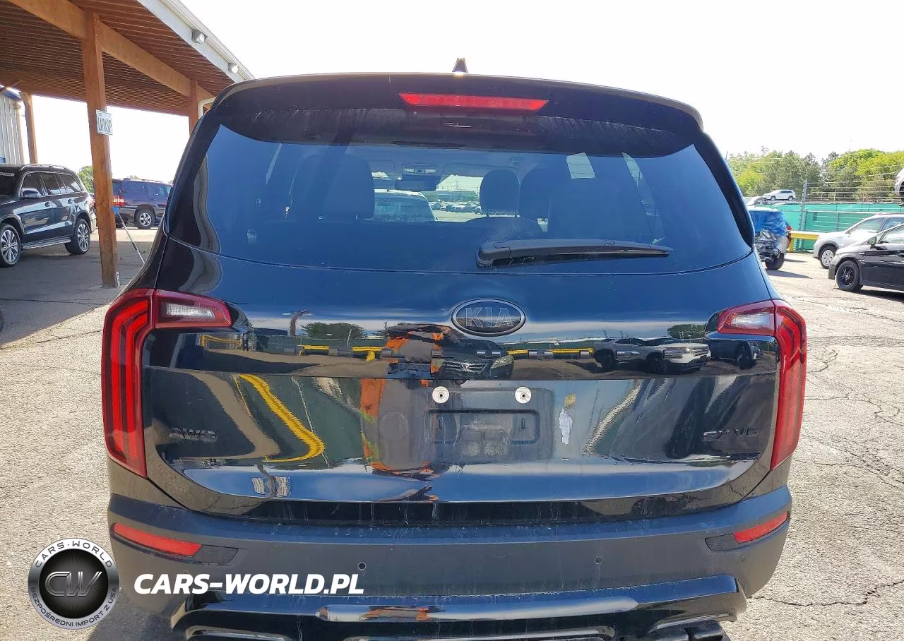 2021 Kia Telluride Ex VIN:5XYP3DHCXMG113420 - 6