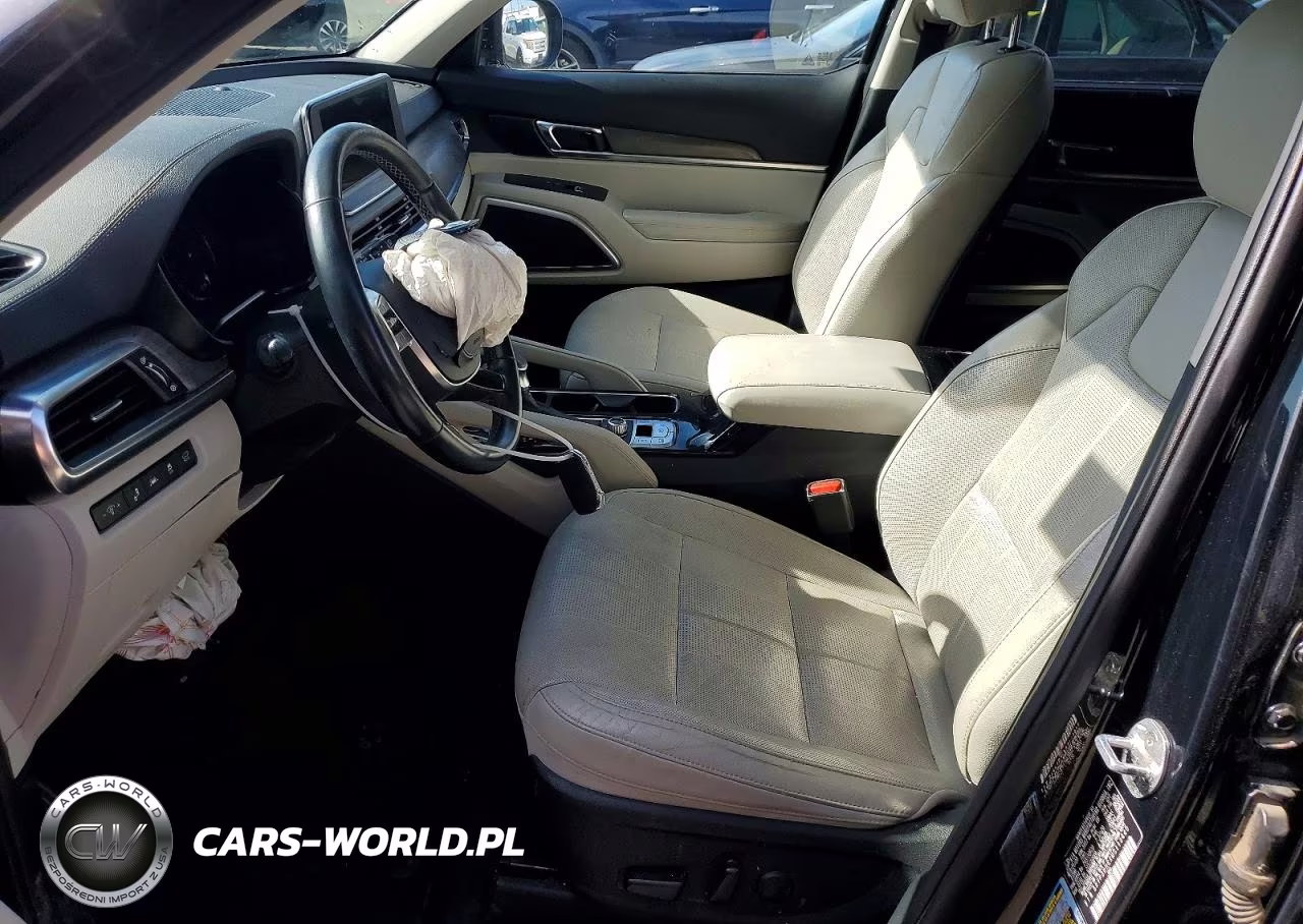 2021 Kia Telluride Ex VIN:5XYP3DHCXMG113420 - 7