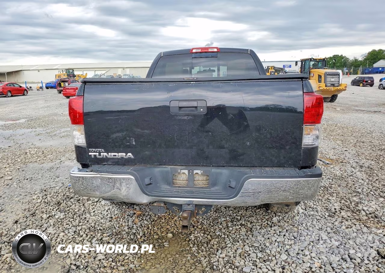 2010 Toyota Tundra Double Cab Sr5 VIN:5TFRY5F10AX088411 - 6