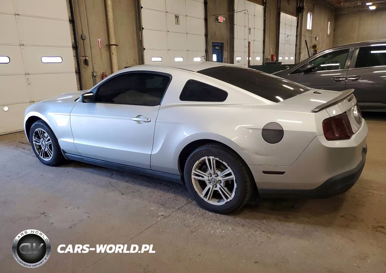 2010 Ford Mustang VIN:1ZVBP8AN3A5107008 - 2