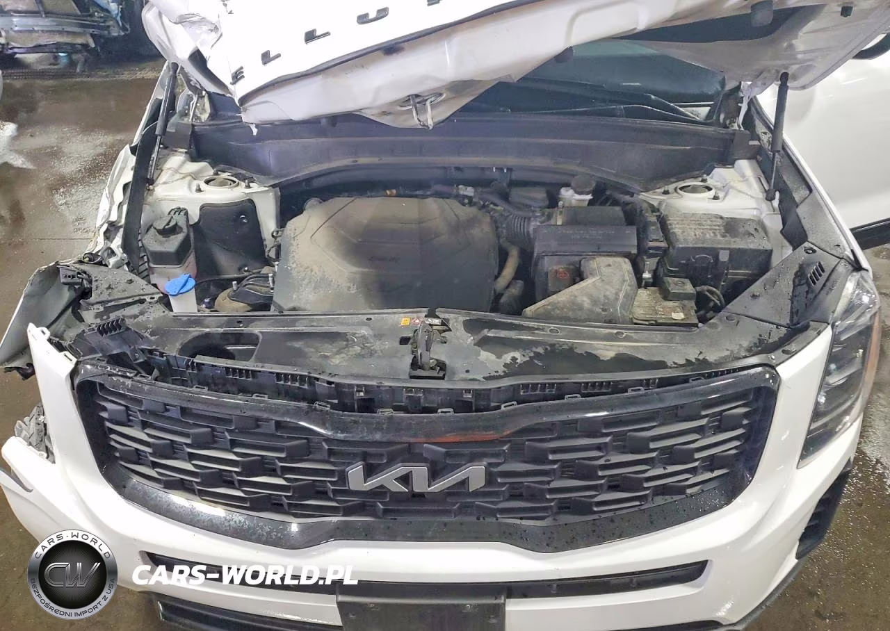 2022 Kia Telluride Ex VIN:5XYP3DHC6NG274896 - 12