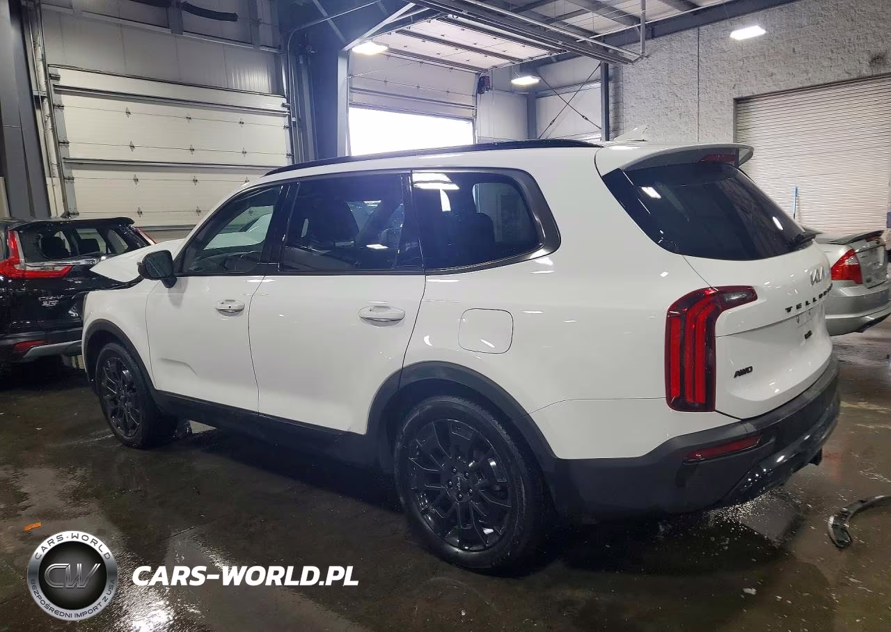 2022 Kia Telluride Ex VIN:5XYP3DHC6NG274896 - 2