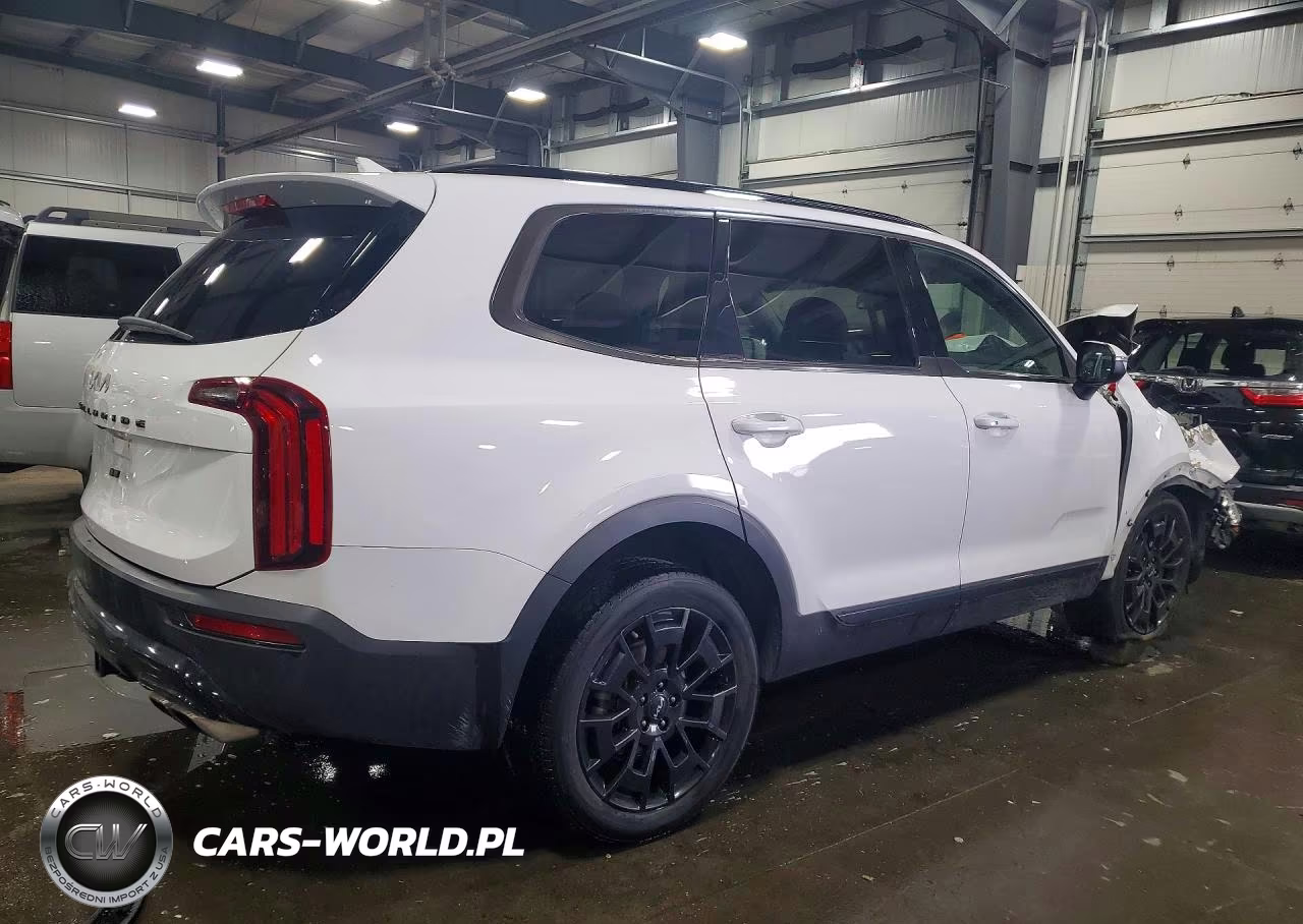 2022 Kia Telluride Ex VIN:5XYP3DHC6NG274896 - 3