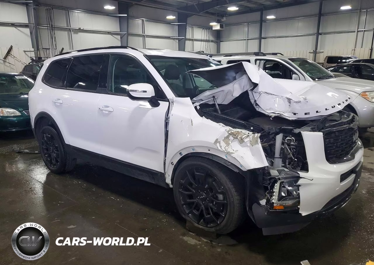 2022 Kia Telluride Ex VIN:5XYP3DHC6NG274896 - 4