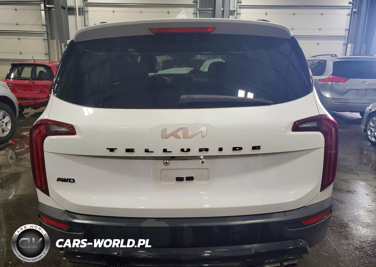 2022 Kia Telluride Ex VIN:5XYP3DHC6NG274896 - 6