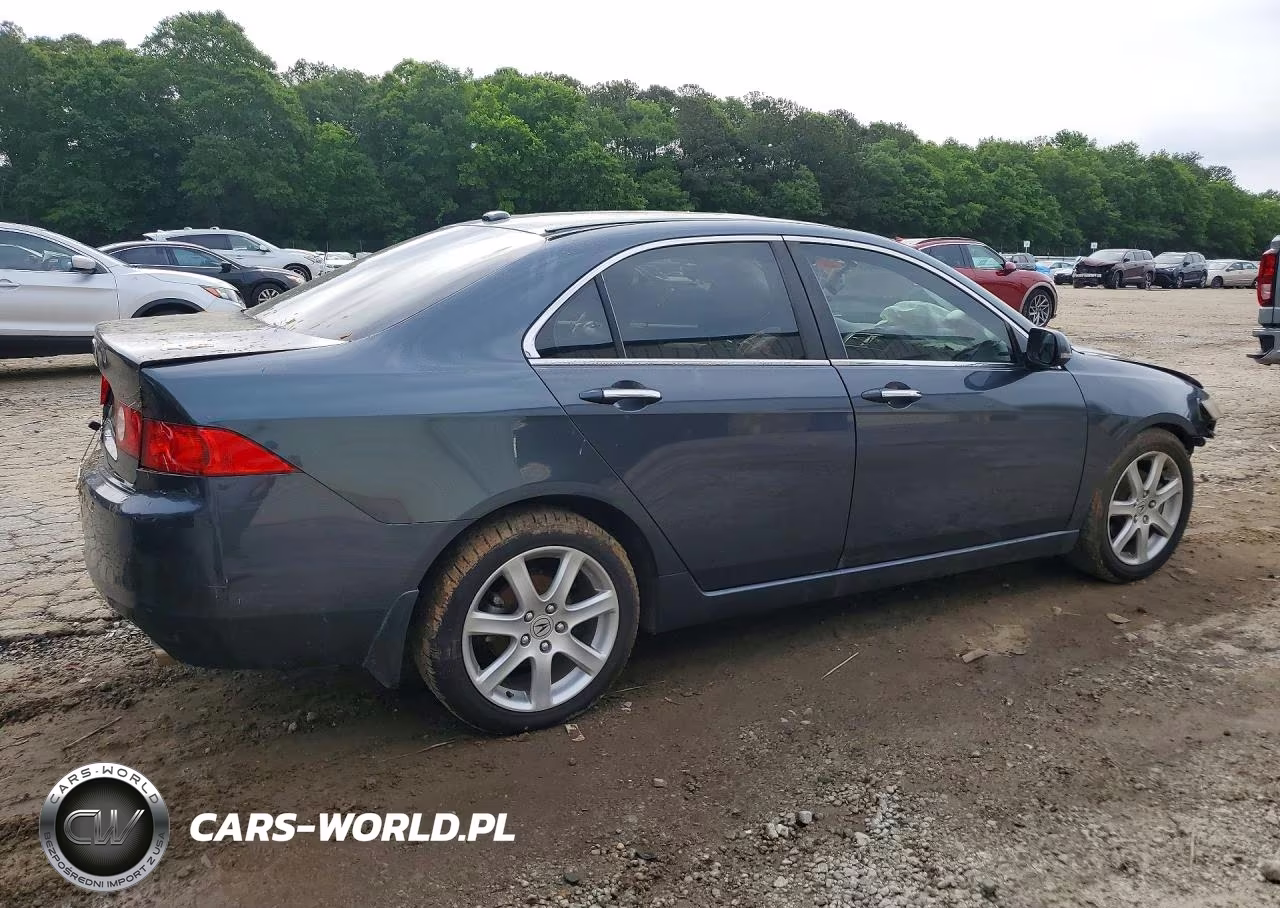 2005 Acura Tsx VIN:JH4CL968X5C023313 - 3