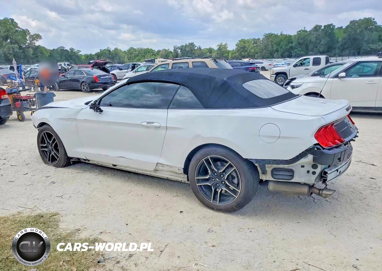 2018 Ford Mustang VIN:1FATP8UH1J5173009 - 2