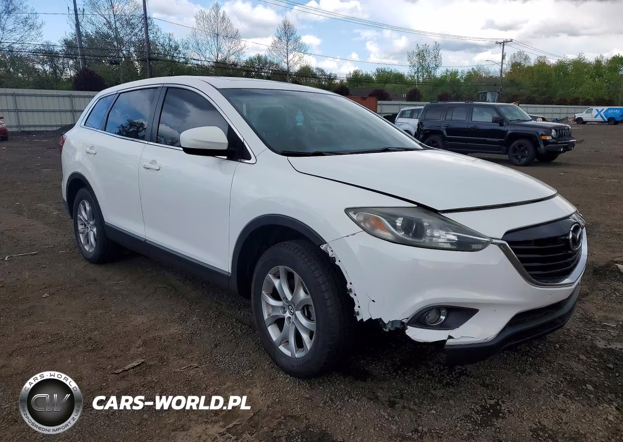 2014 Mazda Cx-9 Touring VIN:JM3TB3CV8E0444287 - 4