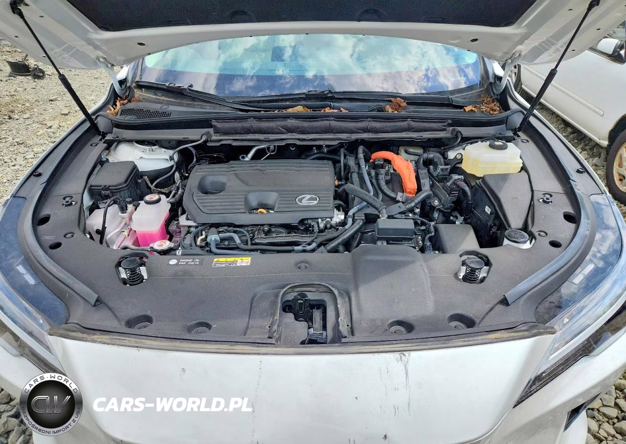 2024 Lexus Rx 350H Premium VIN:2T2BBMCA5RC050146 - 11
