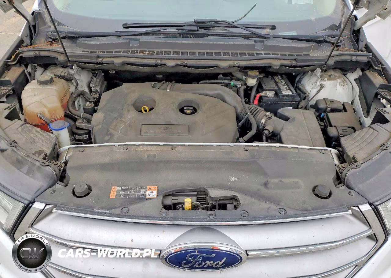 2016 Ford Edge Sel VIN:2FMPK3J98GBB73356 - 11