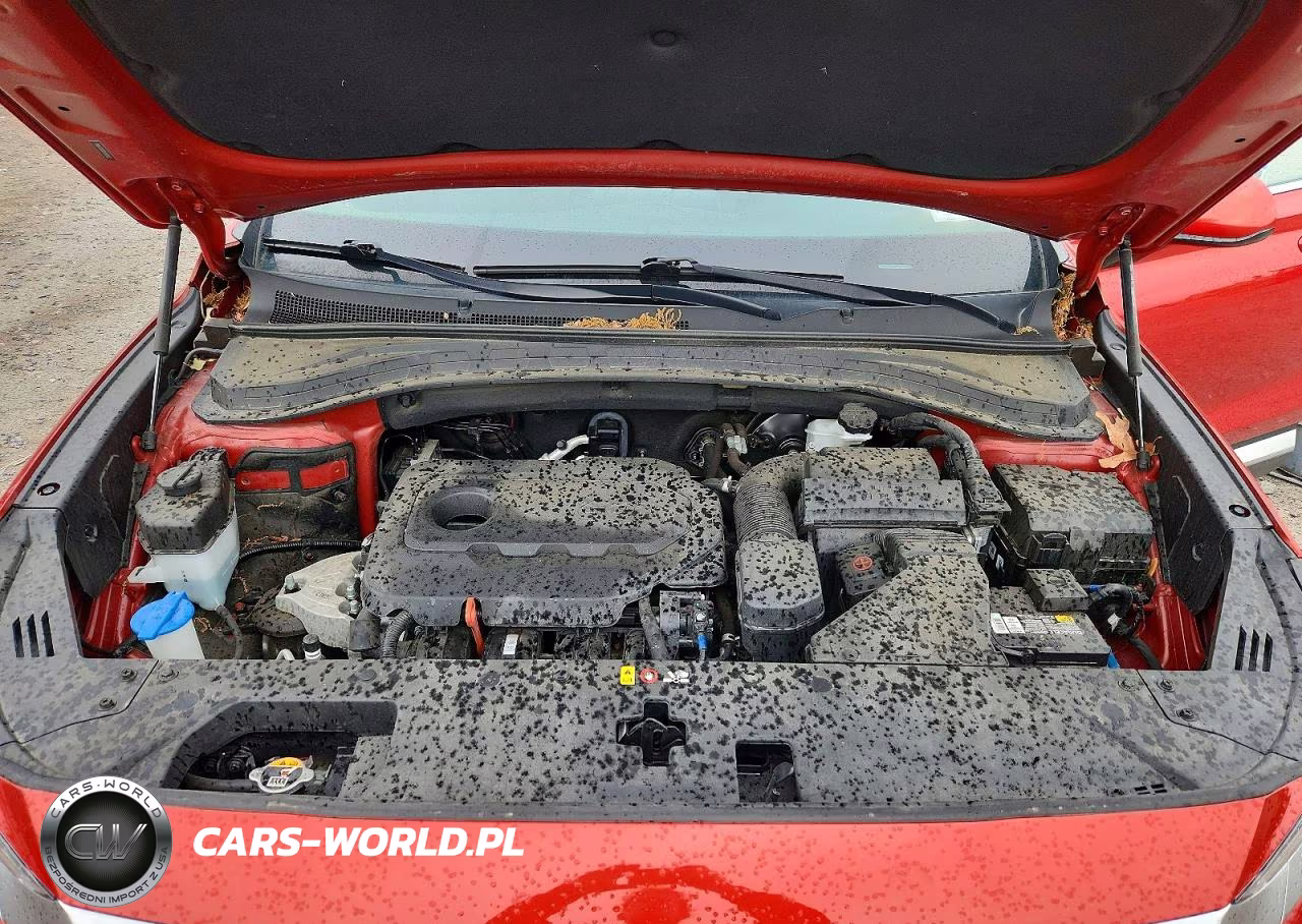 2020 Hyundai Santa Fe Sel VIN:5NMS33AD0LH262933 - 12