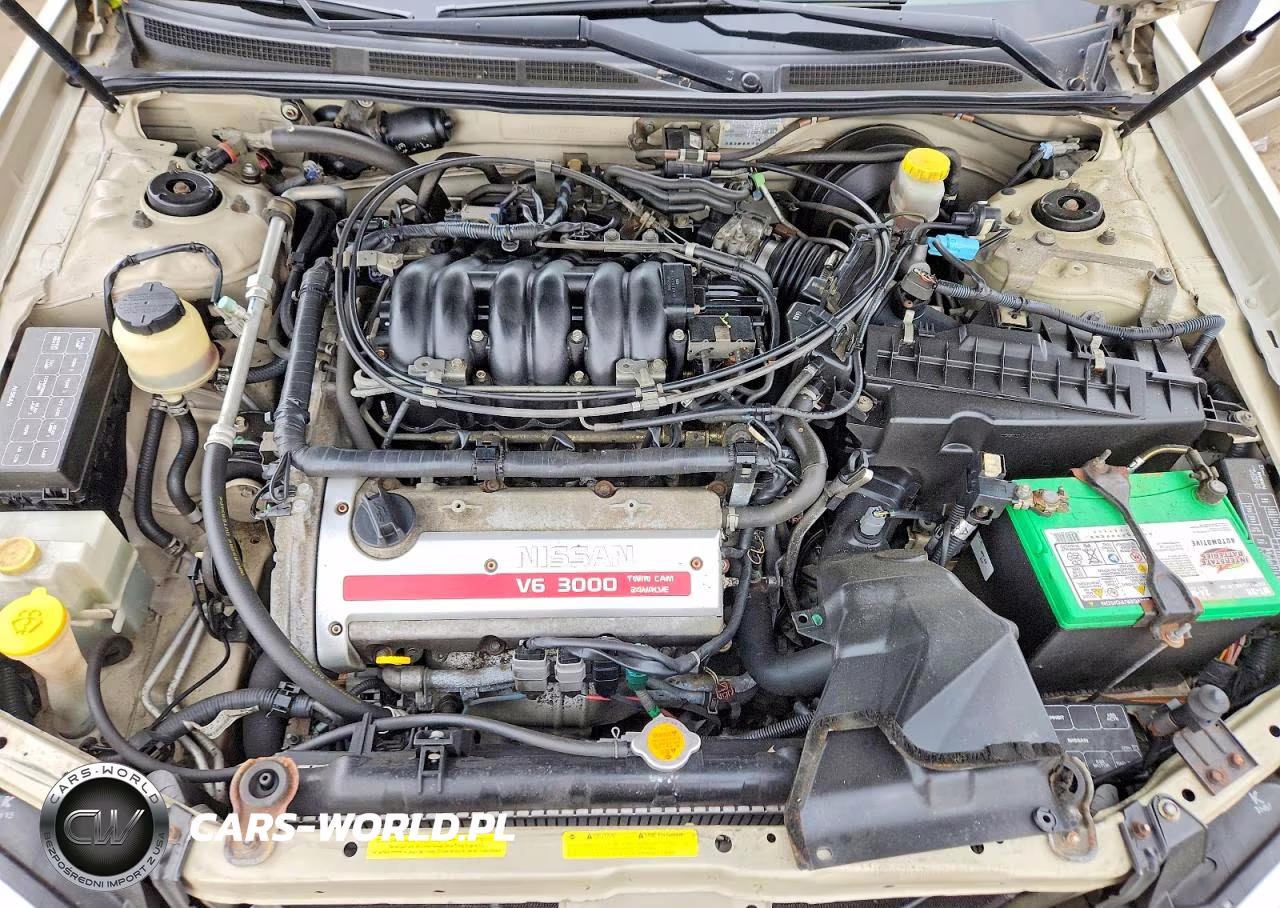 2001 Nissan Maxima Gxe VIN:JN1CA31D71T835142 - 11